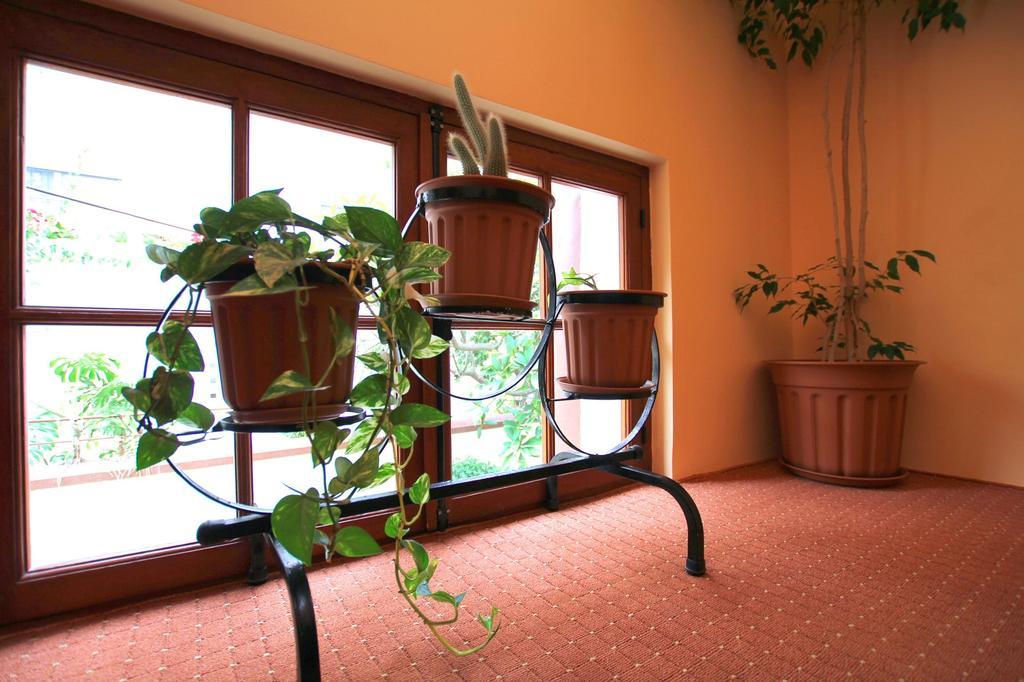 Hotel Anastasia Rhodes City Bagian luar foto